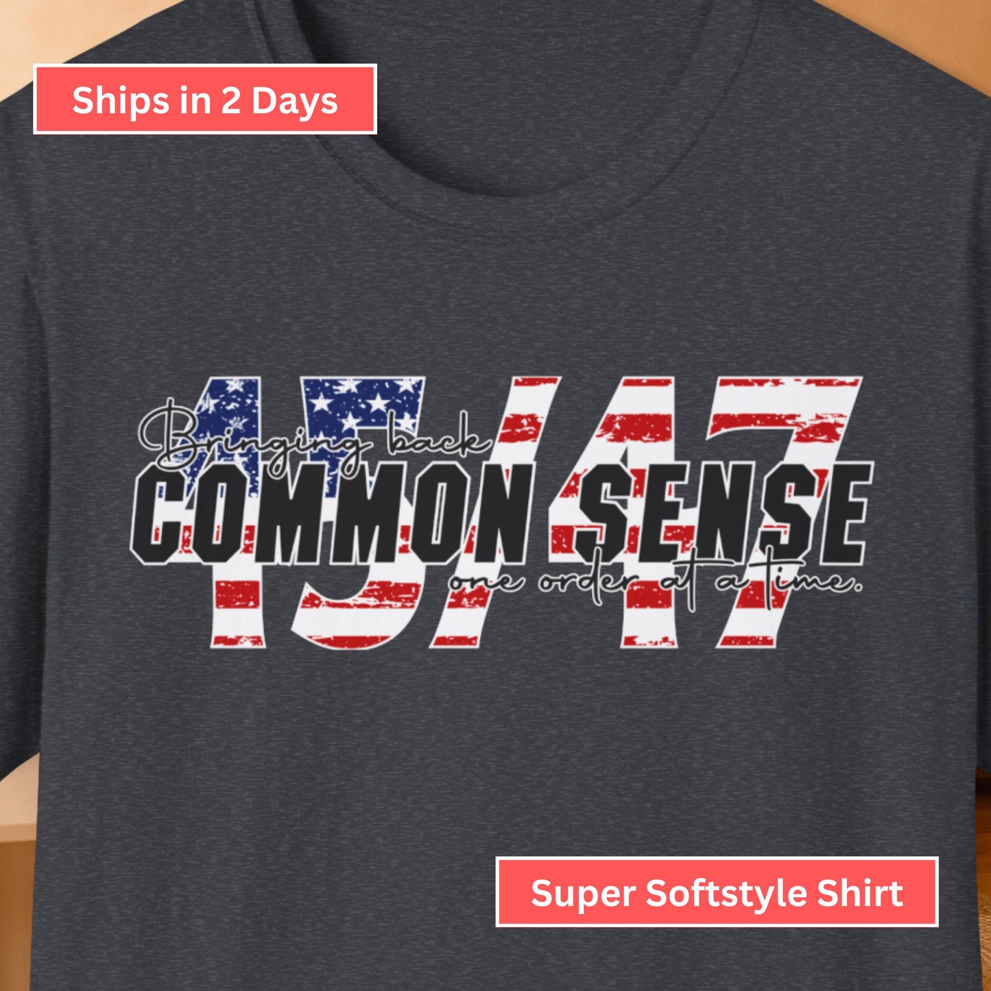 45/47 Common Sense Patriotic USA T-Shirt from Lewey's Merch