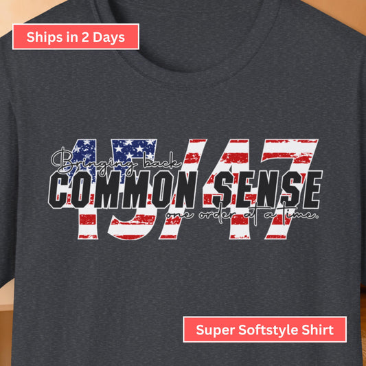 45/47 Common Sense Patriotic USA T-Shirt from Lewey's Merch