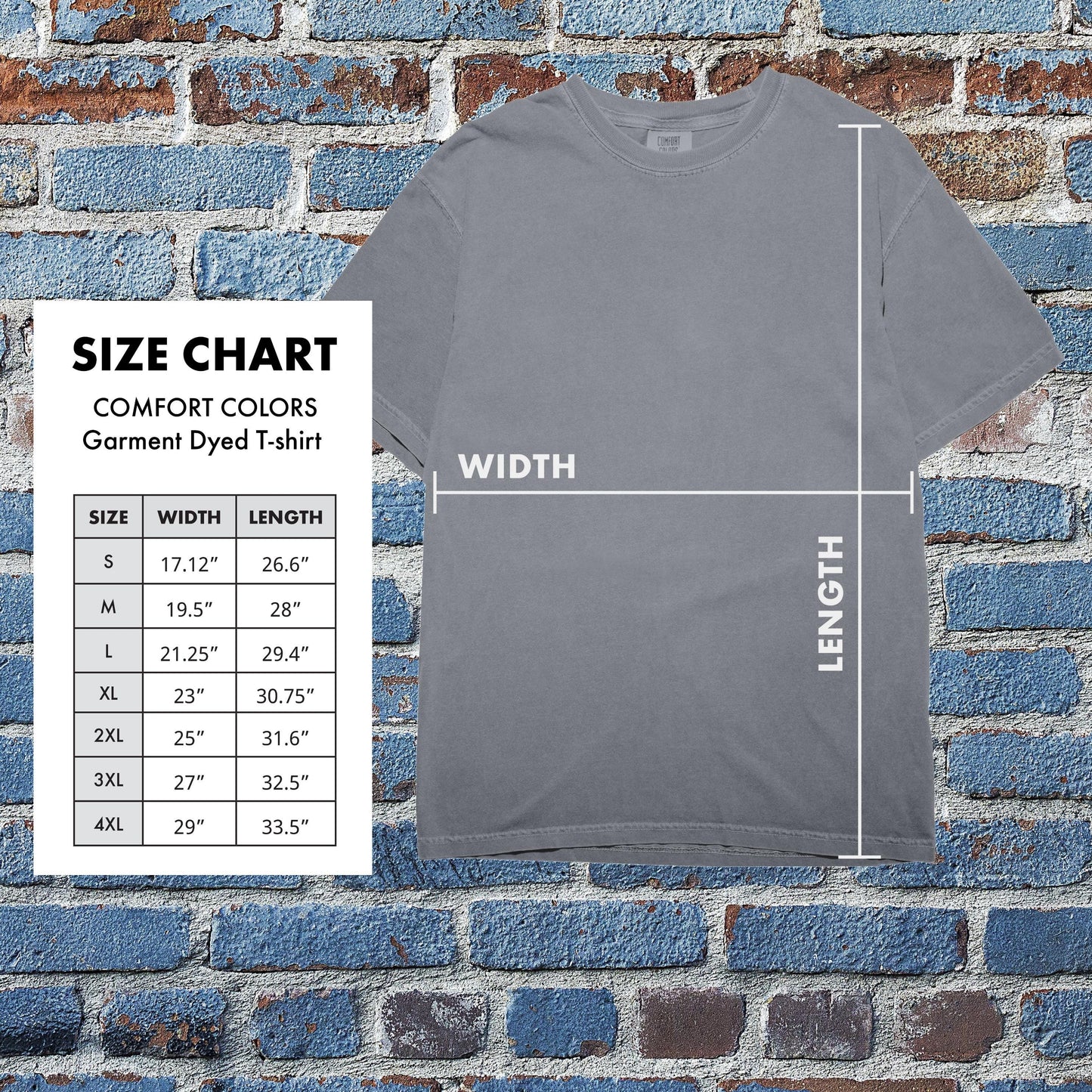 The Hope We Have Hebrews 6:19 Christian T-Shirt from Lewey’s Merch