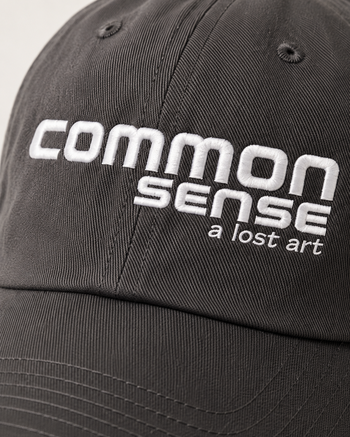 Close-up of a dark gray baseball cap with white embroidered text reading 'common sense' and smaller text 'a lost art' on the front panel.