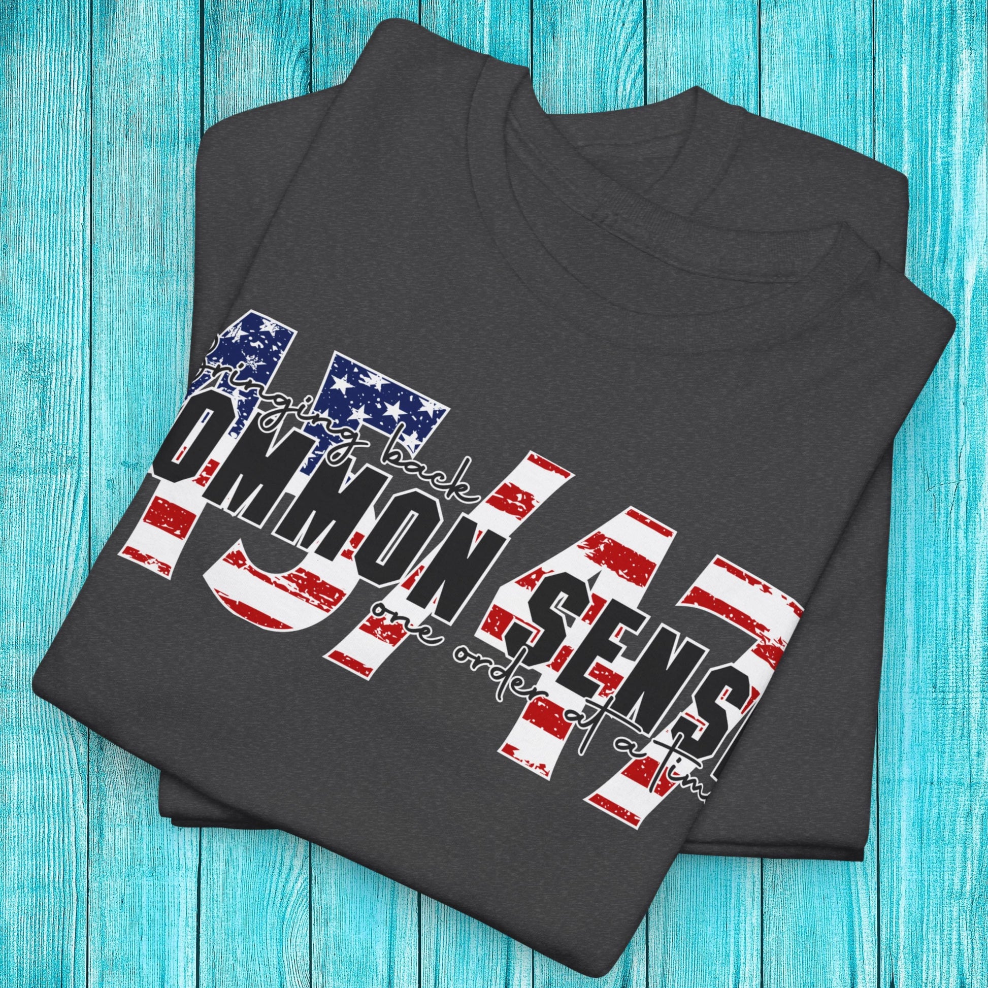 45/47 Common Sense Patriotic USA T-Shirt from Lewey's Merch